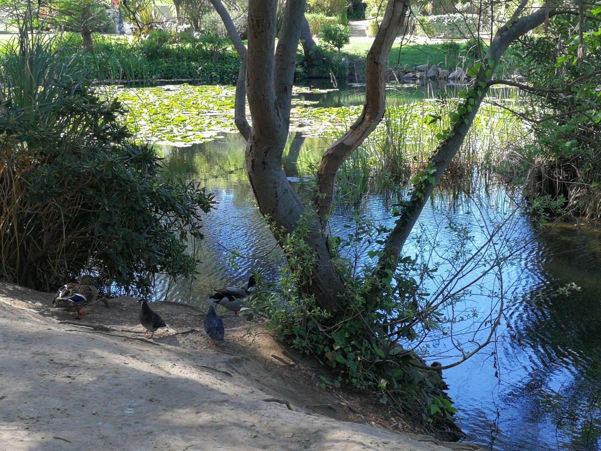 Domaine De La Coudouliere, T2 Climatise Terrasse Vue Mer Sans Vis A Vis Plage A 100M Six-Fours-les-Plages Εξωτερικό φωτογραφία