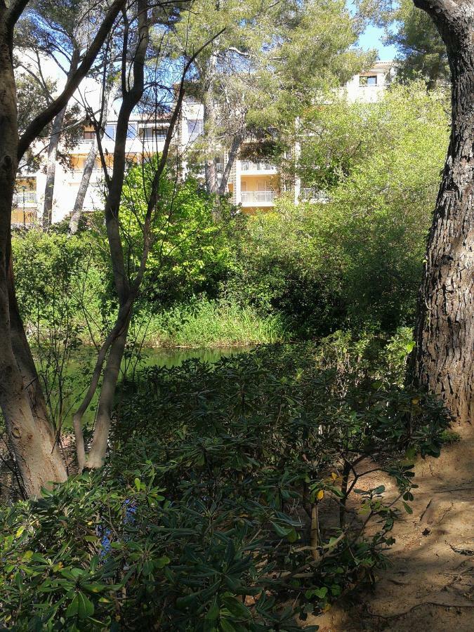 Domaine De La Coudouliere, T2 Climatise Terrasse Vue Mer Sans Vis A Vis Plage A 100M Six-Fours-les-Plages Εξωτερικό φωτογραφία